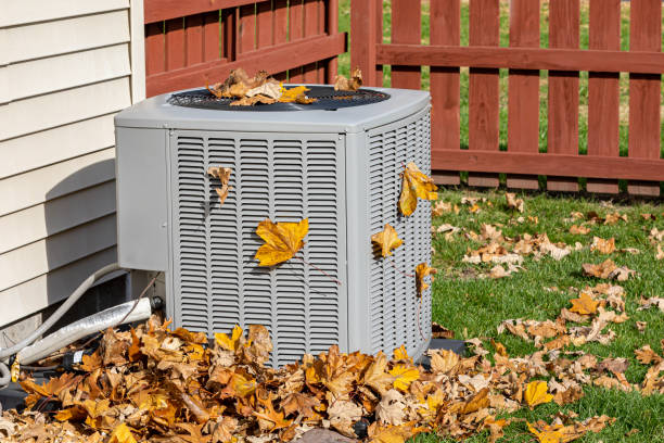 Best HVAC cleaning services  in Hayward, WI
